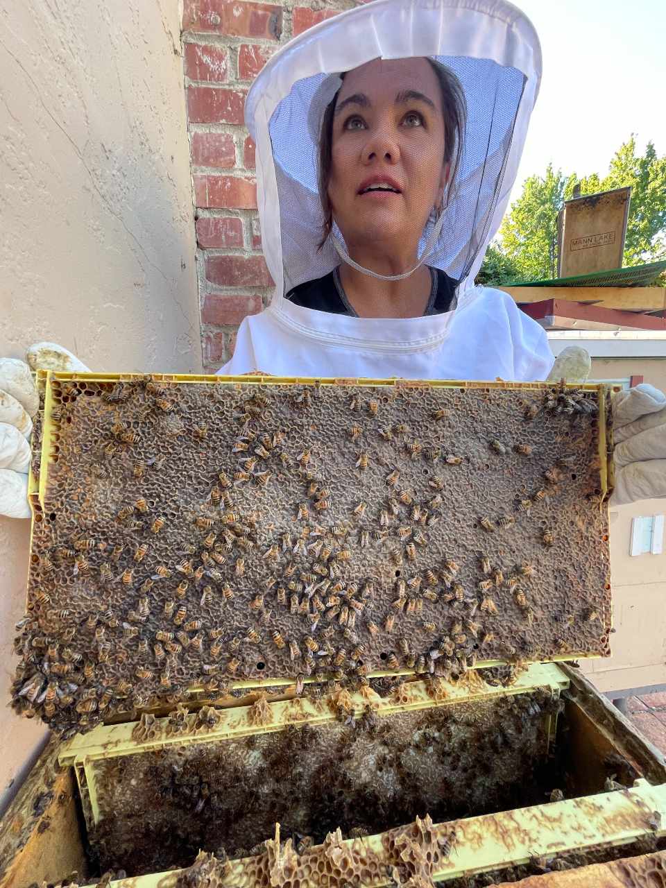 How to start beekeeping: four female beekeepers share their